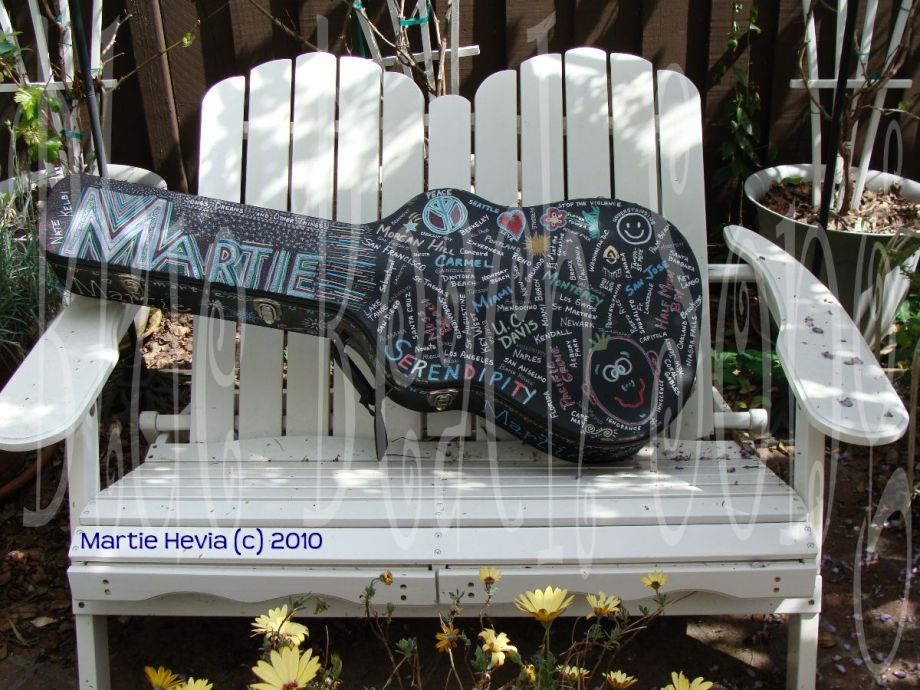 Martie's Guitar Case