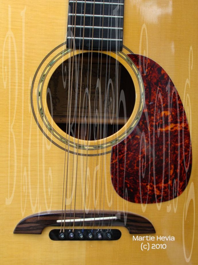 Serendipity - 12-String Guitar Body
