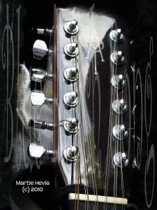 Serendipity - 12-String Guitar Head