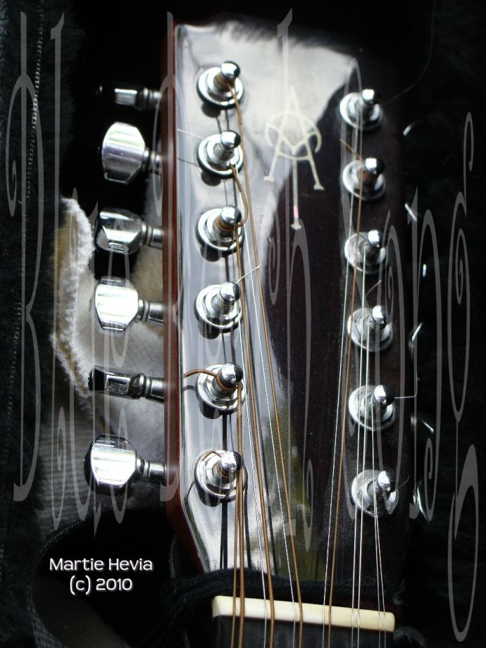Serendipity - 12-String Guitar Head